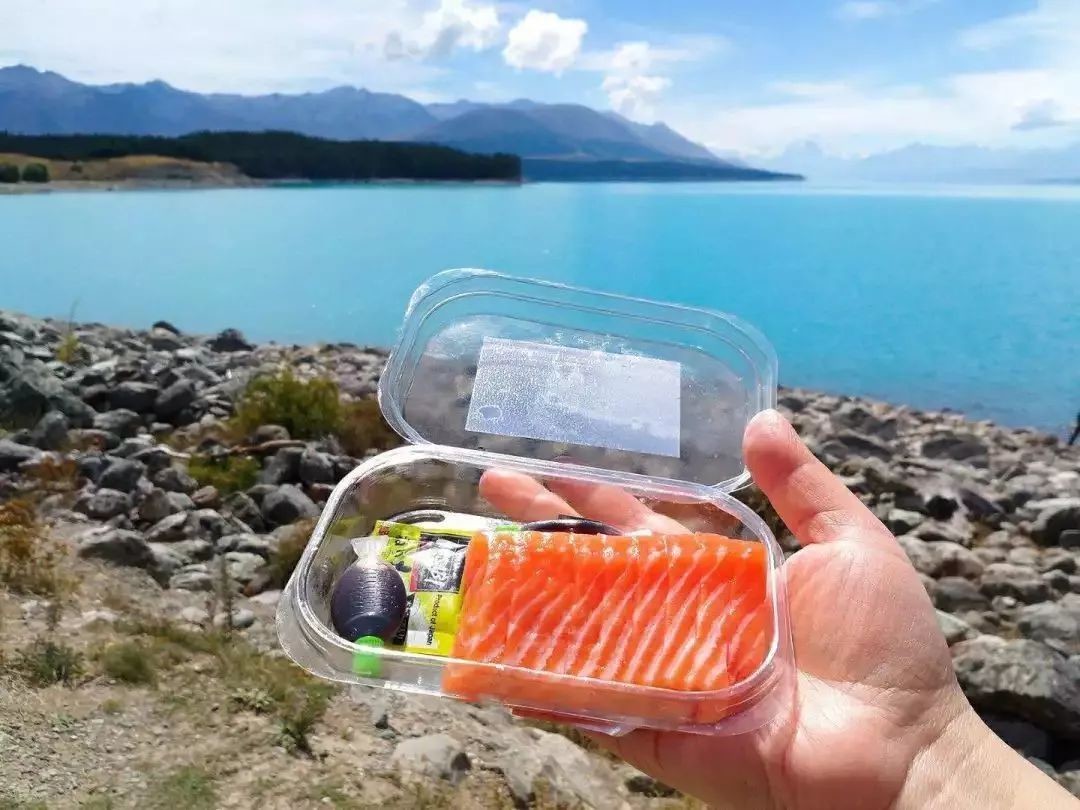 美食推荐：新西兰独特的高山三文鱼